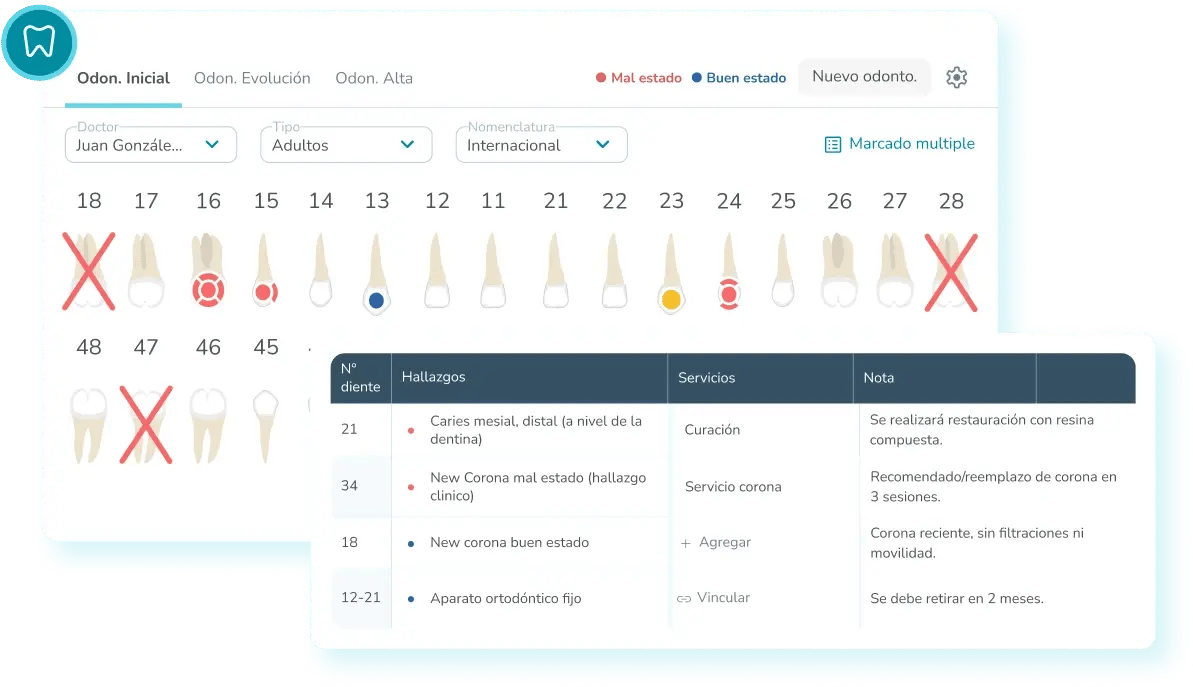 odontogramas-mockup-features