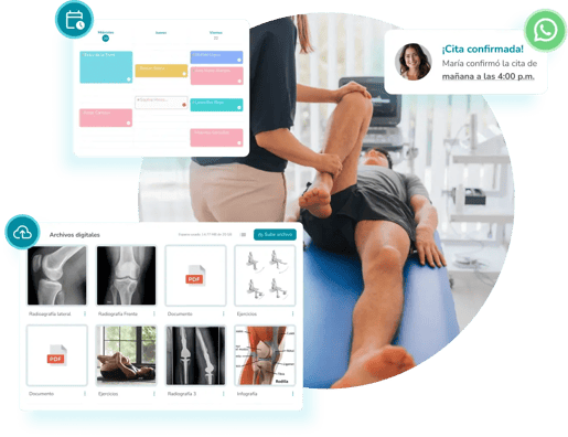 doctores-para-terapia-rehabilitacion