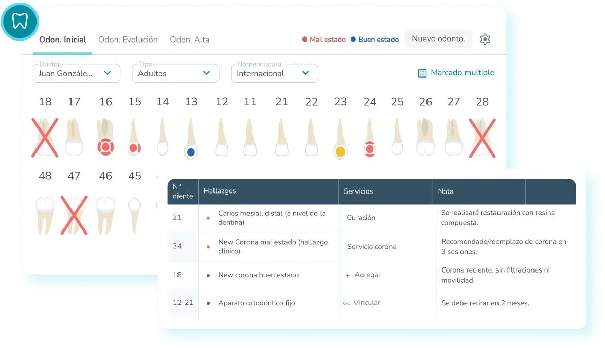 odontograma dental